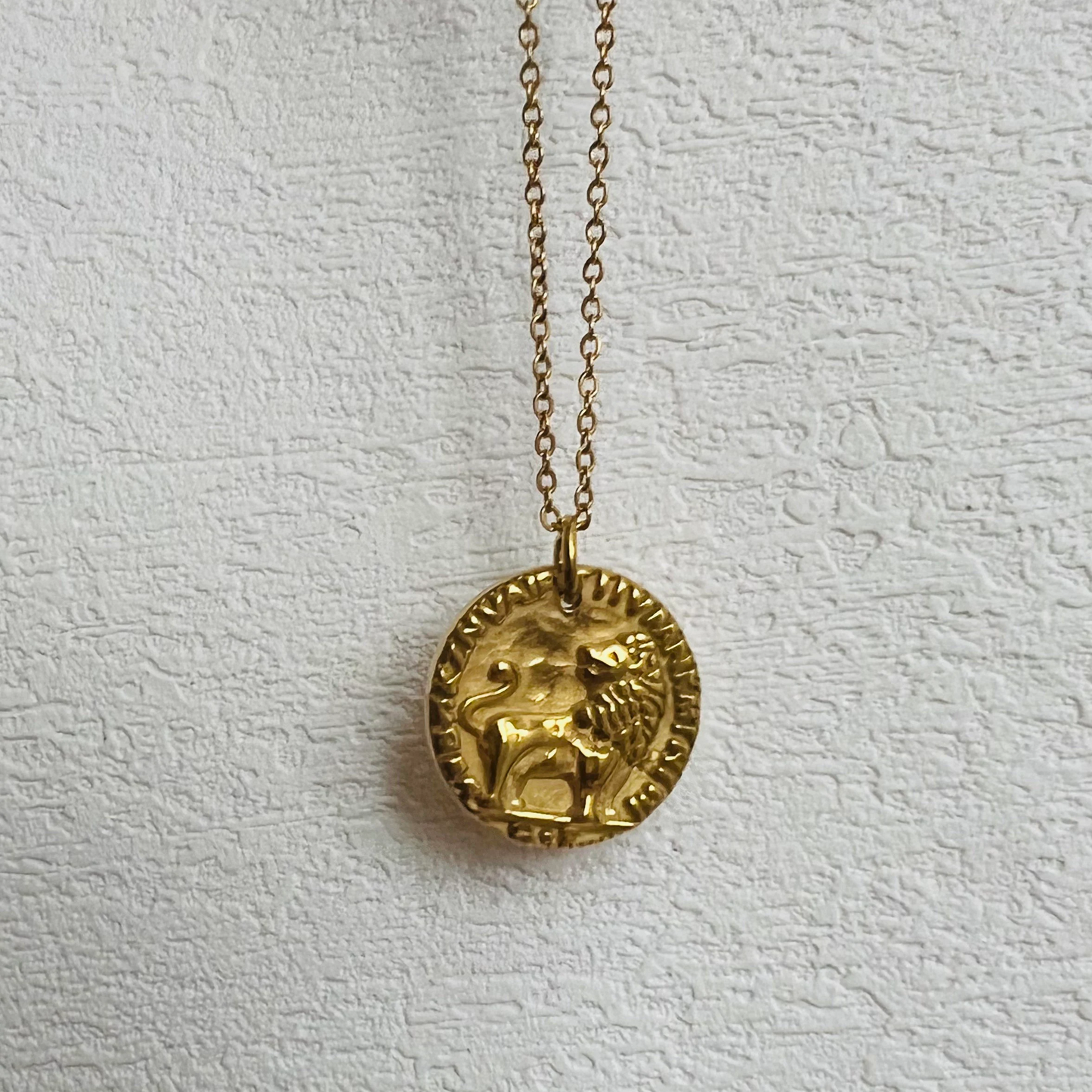 Lion necklace, waterproof necklace, coin necklace.