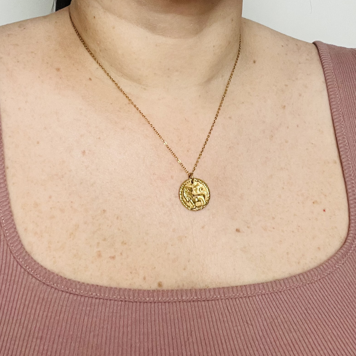 Lion necklace, waterproof necklace, coin necklace.