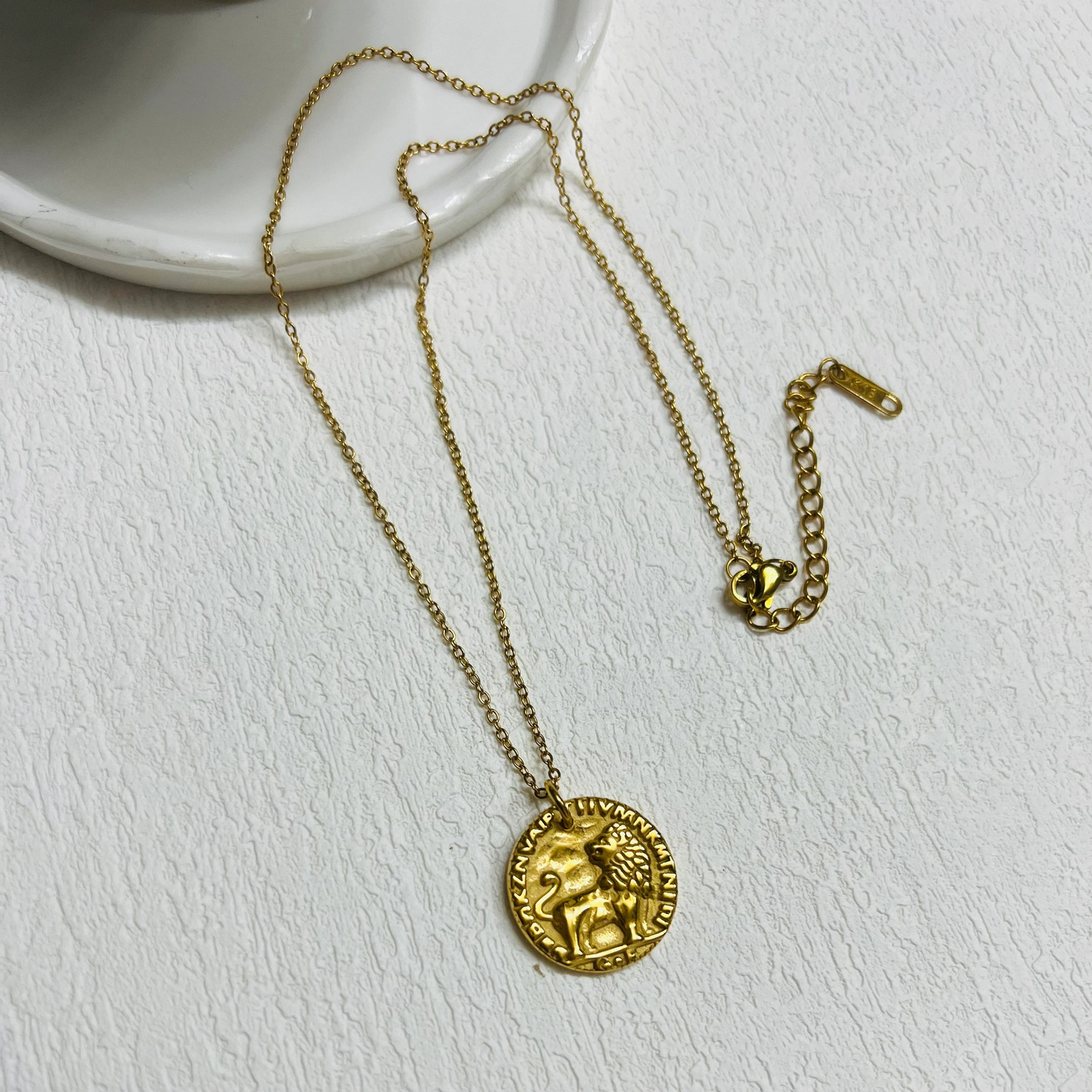 Lion necklace, waterproof necklace, coin necklace.